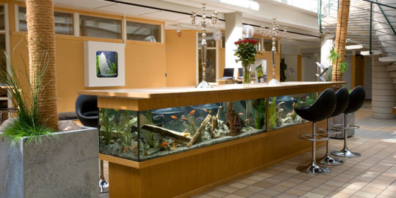 Akvarier i alla former kan leasas. Foto: Akvarie-Leasing