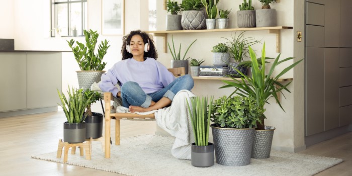 Gröna växter med stora blad är en stark trend 2020 enligt Plantagen.