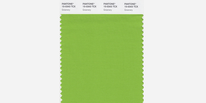 Färgen Greenery är fräsch och frodig som björklöv. Foto: Pantone.